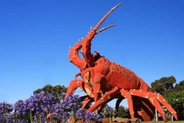 Big Lobster