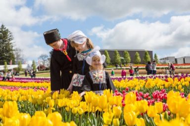 Tulip Festival Dutch Weekend
