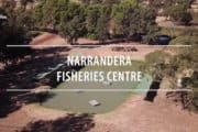 Narrandera Fisherires Centre